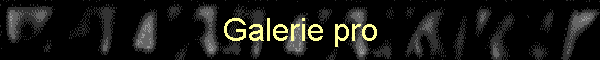 Galerie pro