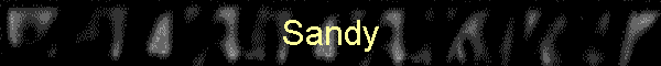 Sandy